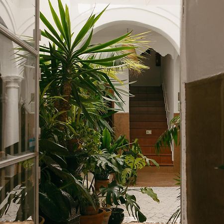 Hostal Africa 타리파 외부 사진